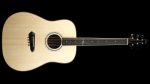 Falbo Alpha Series Dreadnought Acoustic Guitar Sale